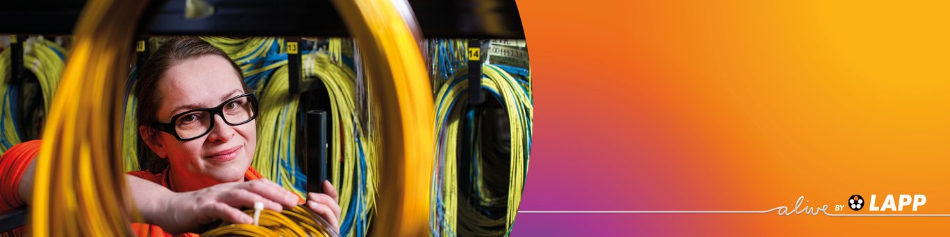 Harnessing e montagem de cabos