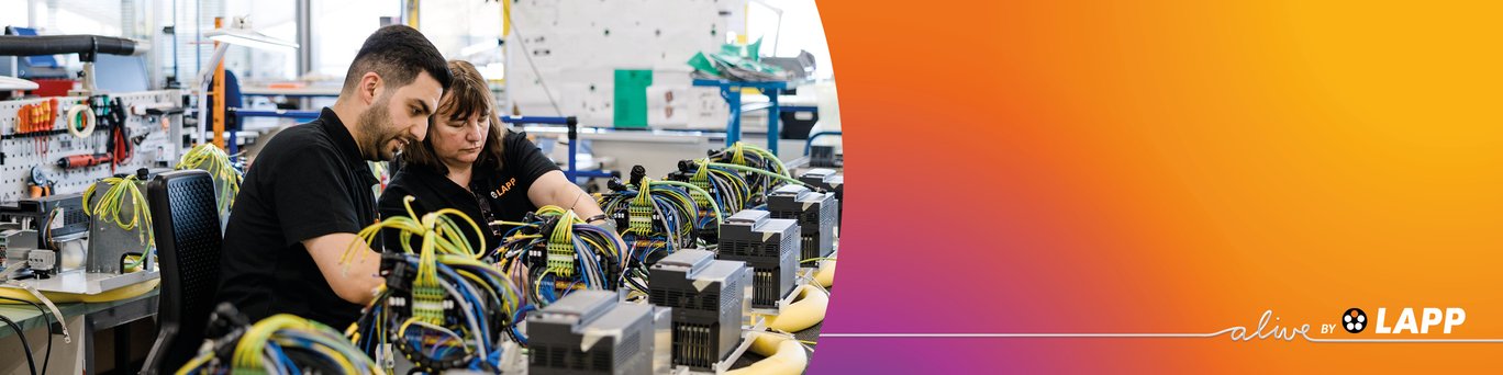 Soluções industriais de montagem em caixa (Box Build)